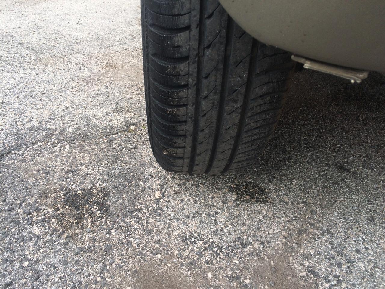 2008 Fiat Panda 1.2 Dynamic tagliandata con garanzia 12 mesi ca,bio e motore !!