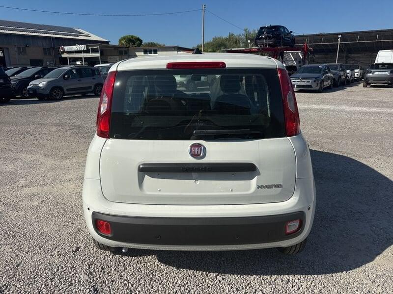 FIAT Panda N. 1.0 70cv Hybrid Panda