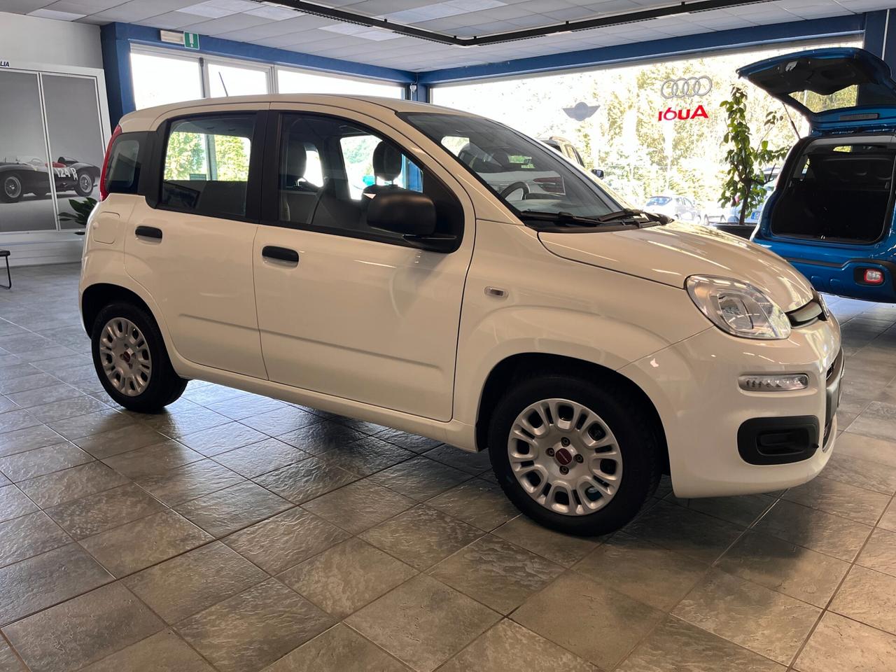 Fiat Panda 1.0 Hybrid Easy NEOPATENTATI