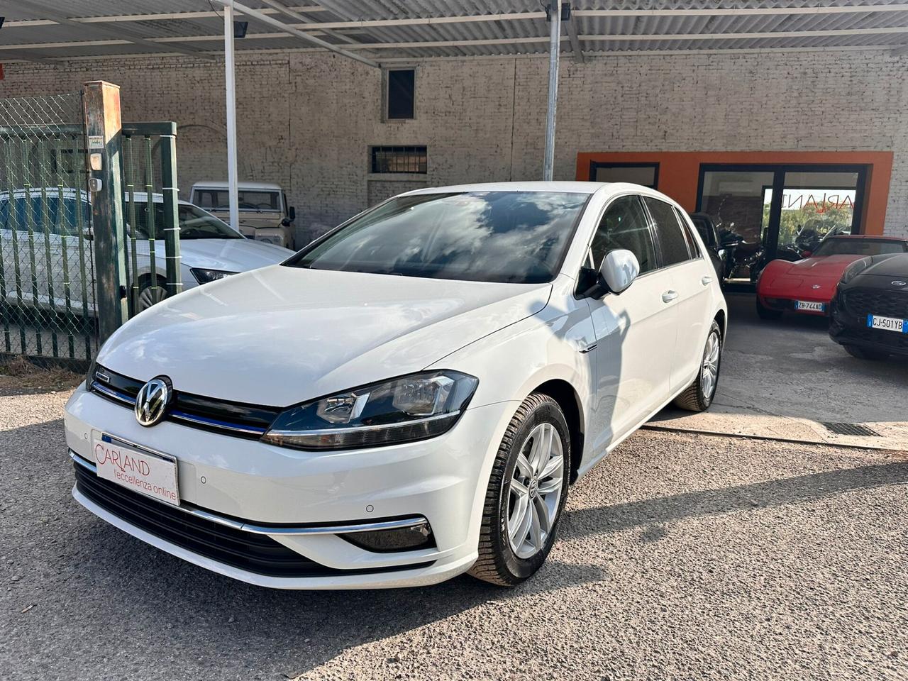 Volkswagen Golf 1.5 TGI 5p. Executive BlueMotion Technology