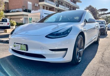 Tesla Model 3 Model 3 Standard RWD Plus