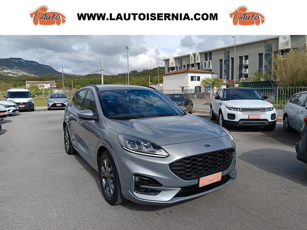 Ford Kuga 2.0 EcoBlue 120 CV aut. 2WD ST-Line