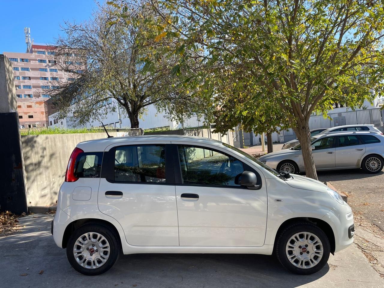 Fiat Panda KM. 34.000 1.2 Easy NEOPATENTATTI