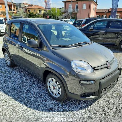 FIAT Panda My23 1.0 70cv Hybrid Panda