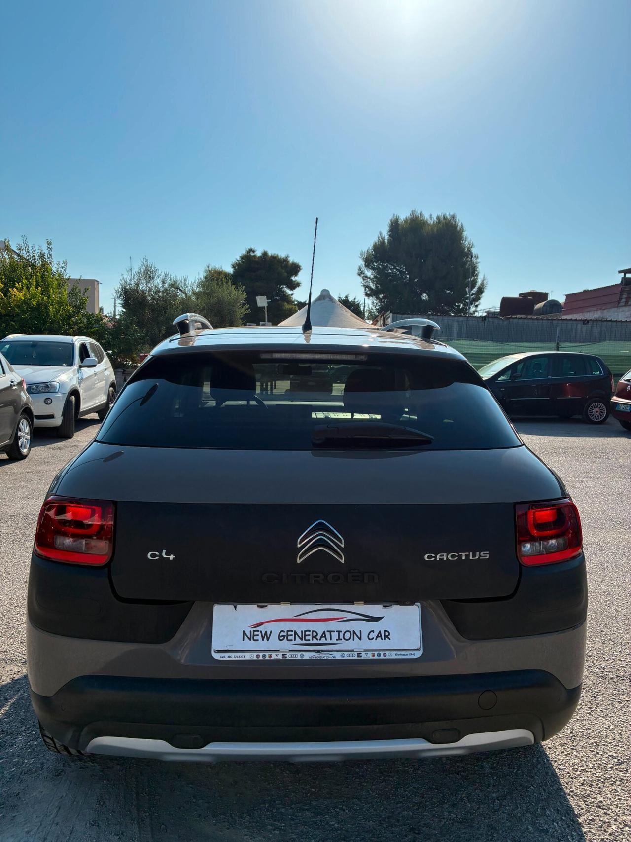 Citroen C4 Cactus BlueHDi 100 Rip Curl