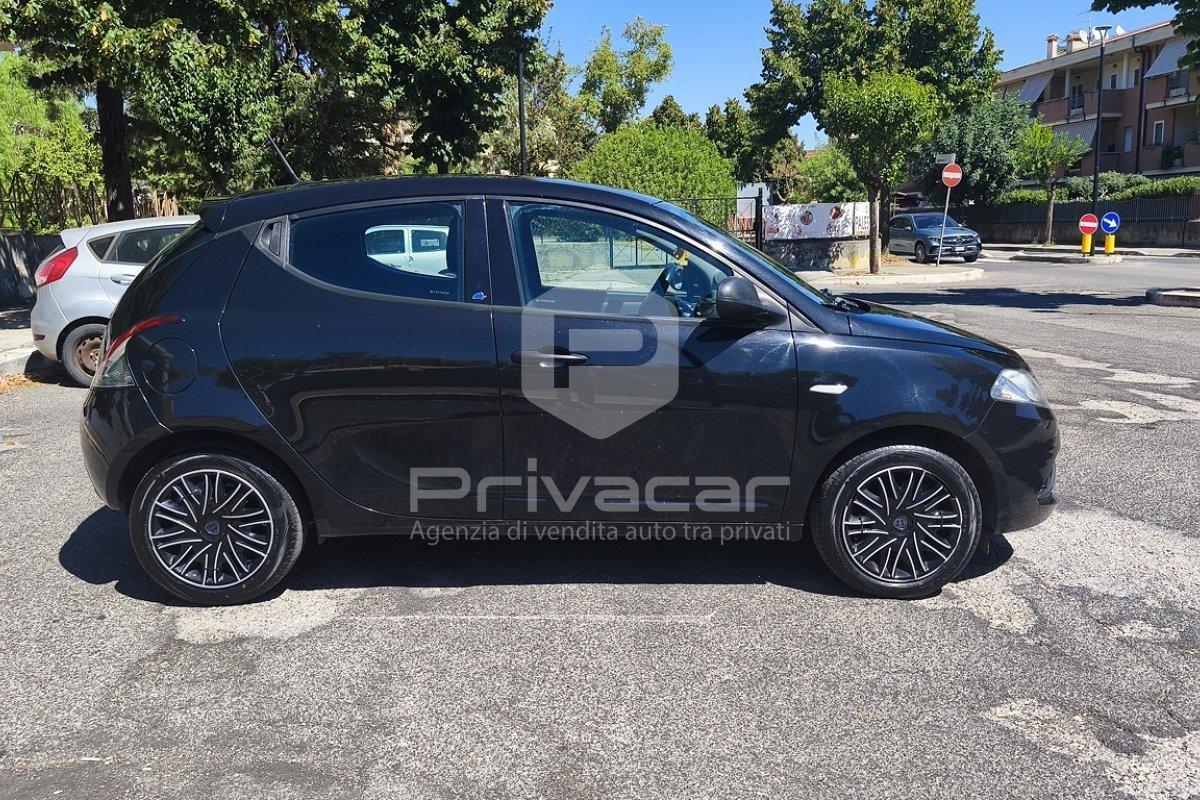 LANCIA Ypsilon 1.2 69 CV 5 porte GPL Ecochic Elefantino Blu