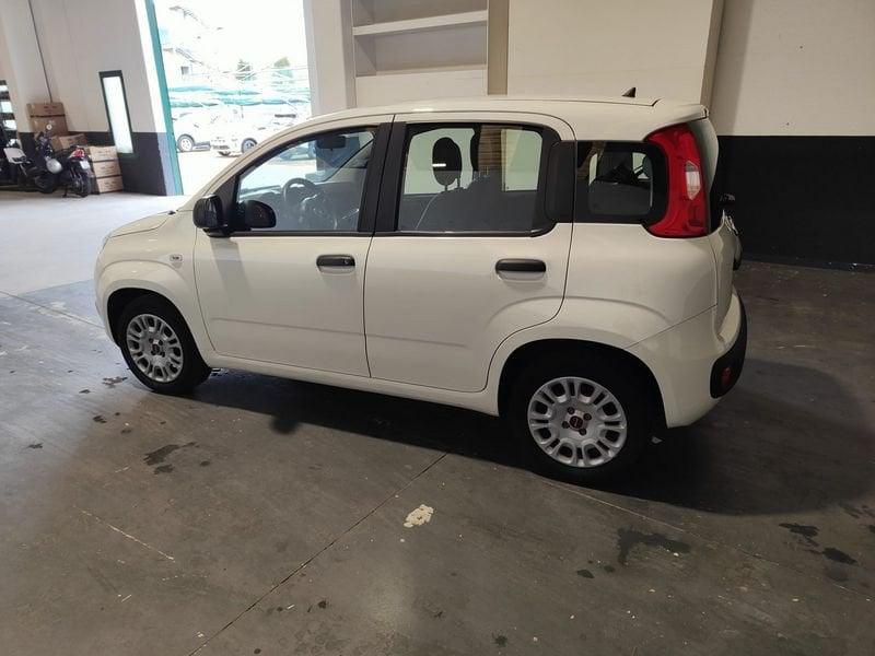 FIAT Panda Panda 1.2 Easy