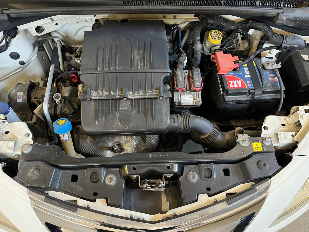 Lancia Ypsilon 1.2 69 CV 5 porte Elefantino