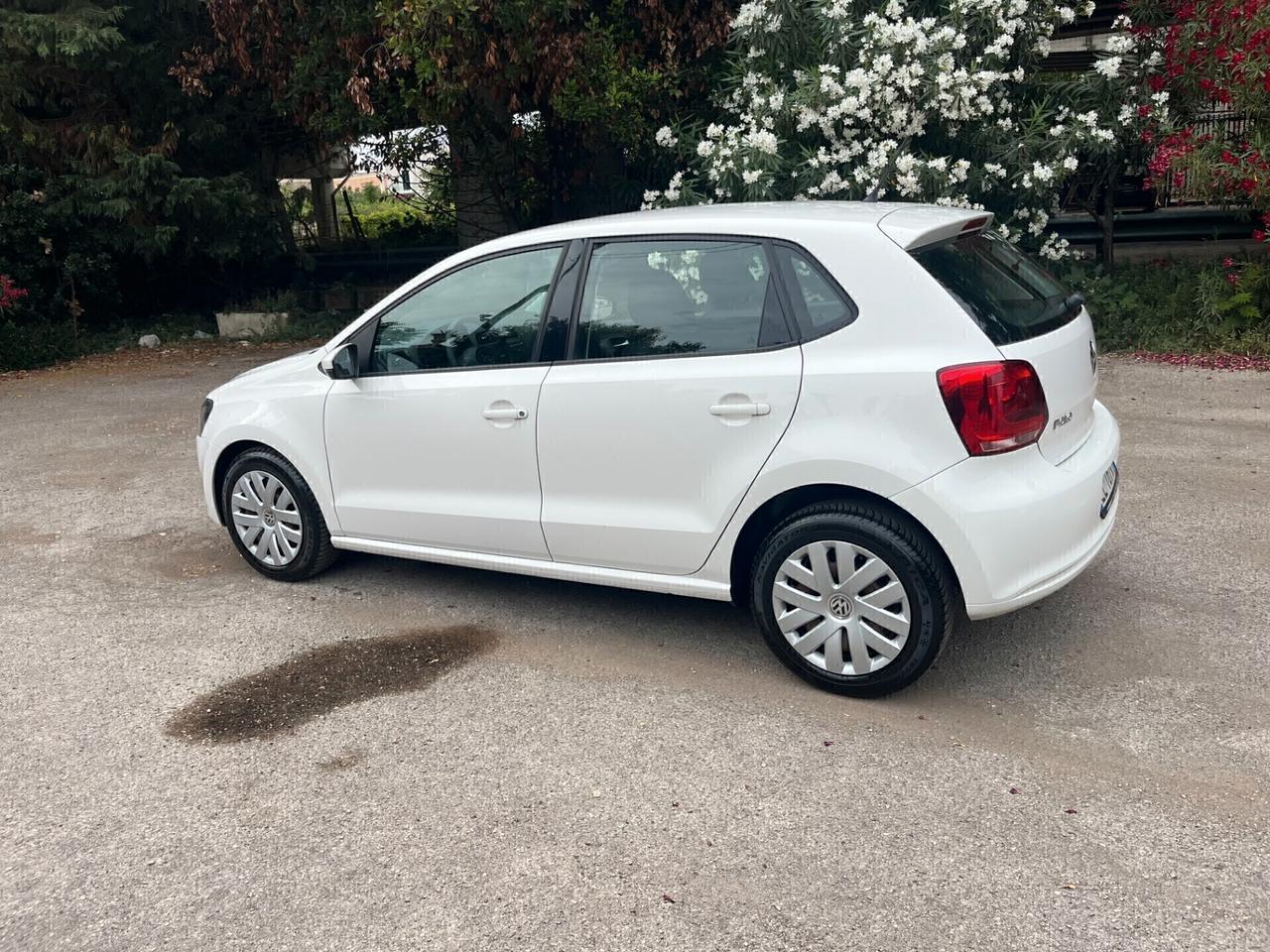 Volkswagen Polo 1.2 5 porte Trendline Perfetta