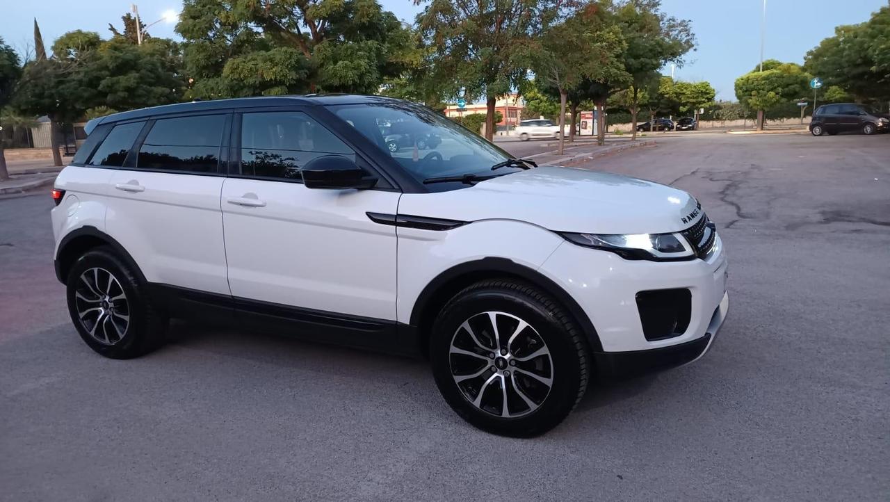 Land Rover Range Rover Evoque Range Rover Evoque 2.0 TD4 150 CV 5p. SE
