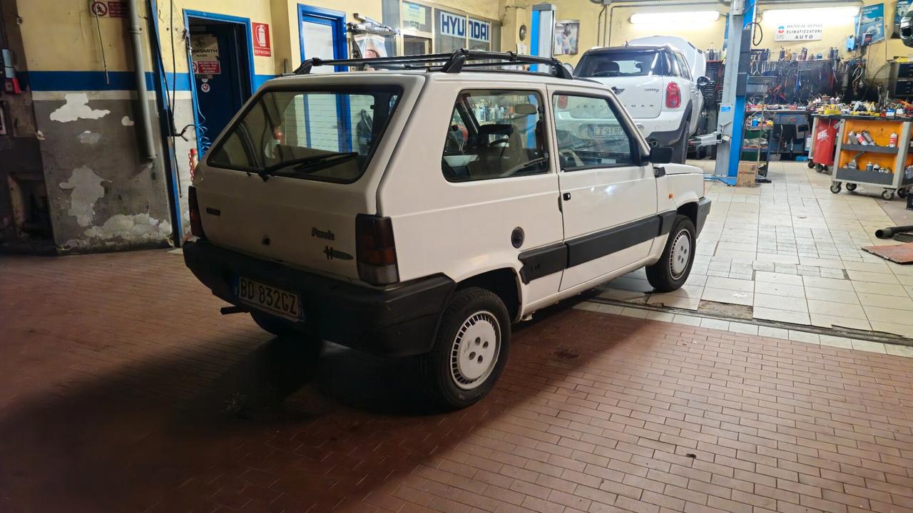 Fiat Panda 900 i.e. cat Young