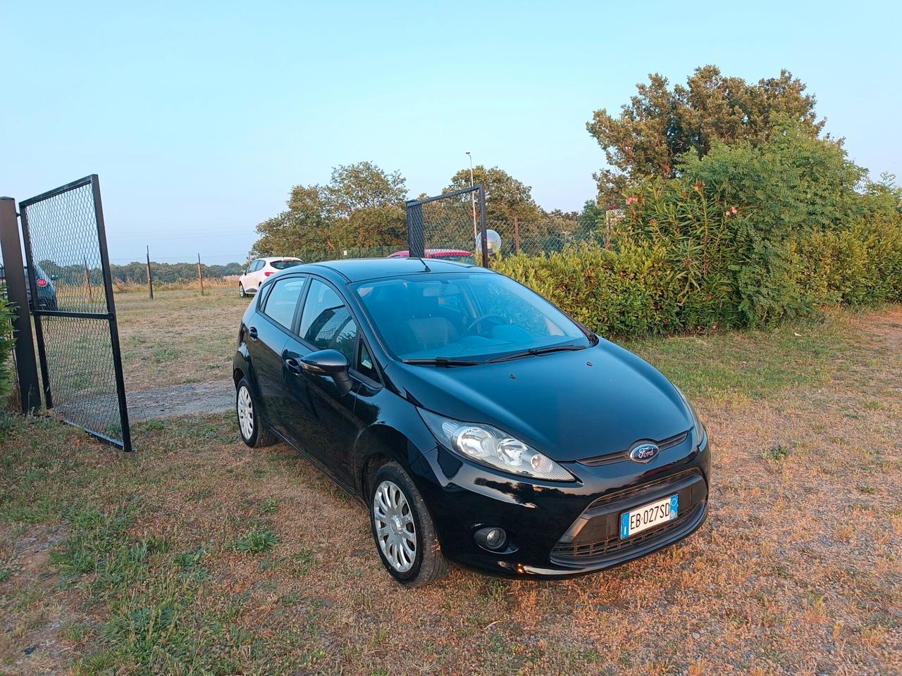 Ford Fiesta 1.2 82 CV 5 porte Titanium