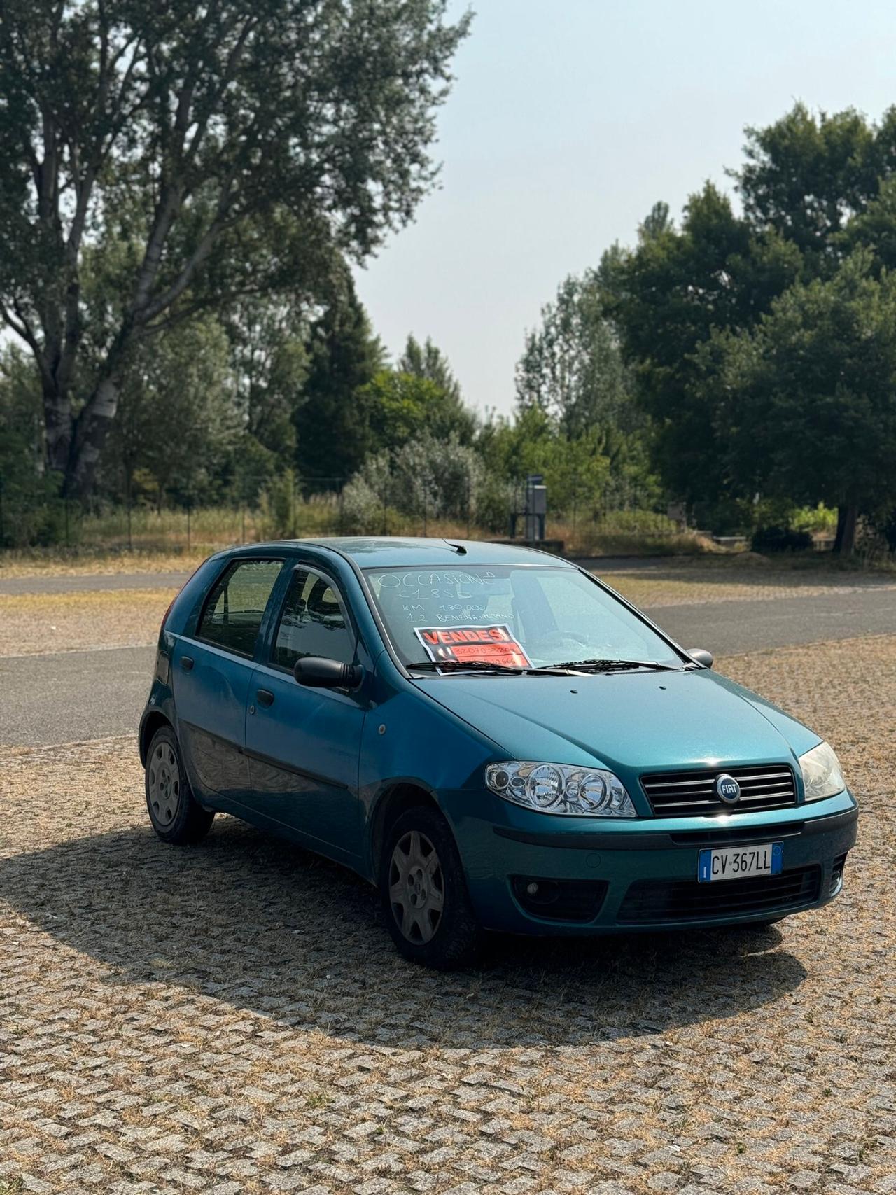 Fiat Punto 1.2 5 porte Active Natural Power