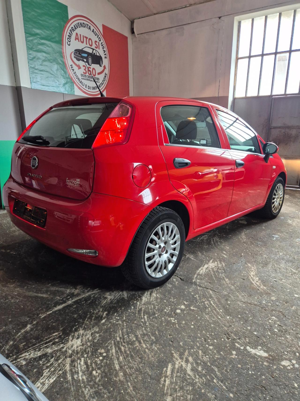 Fiat Punto 1.2 8V 5 porte euro 6 benzina neo patentati