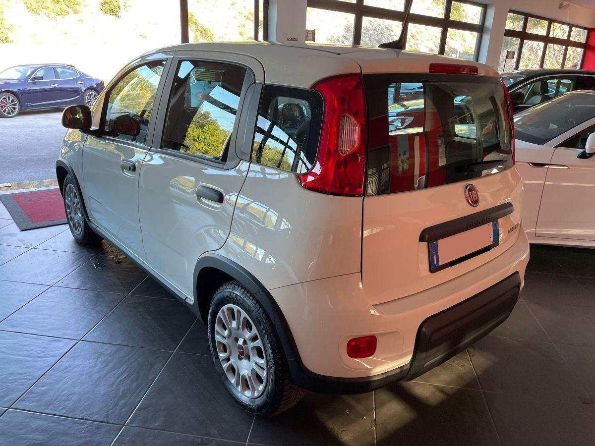 FIAT PANDA 1.0 FIREFLY HYBRID 70CV CITY LIFE