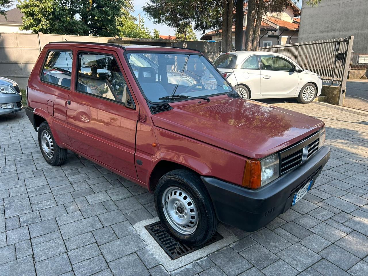 Fiat Panda 1100 i.e. cat Young