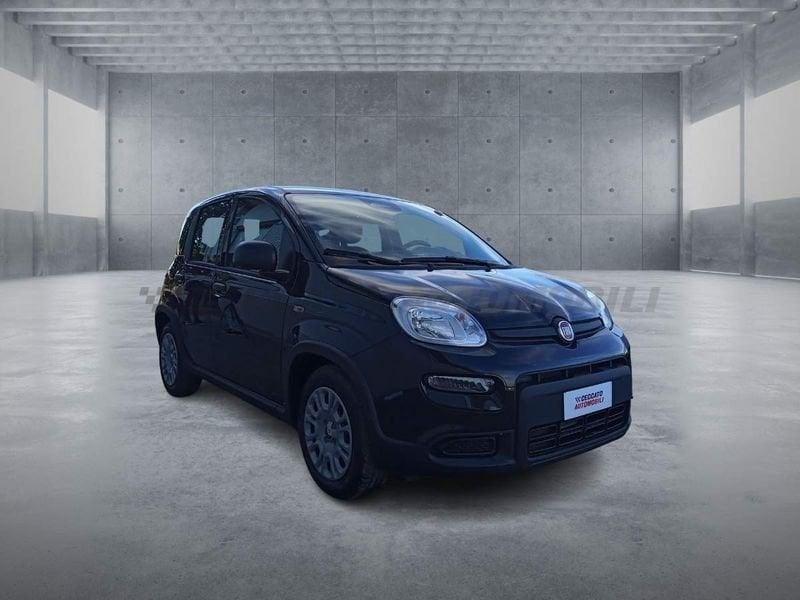 FIAT Panda 1.0 70cv Hybrid Panda