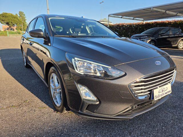 FORD Focus 1.5 EcoBlue 120 CV 5p. Business
