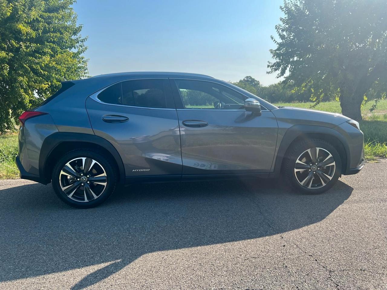 Lexus UX Hybrid 4WD Executive
