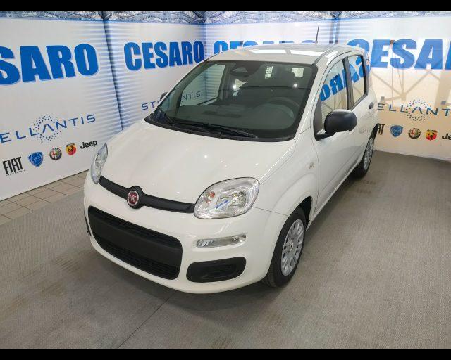 FIAT Panda 1.0 firefly hybrid Icon s&s 70cv 5p.ti