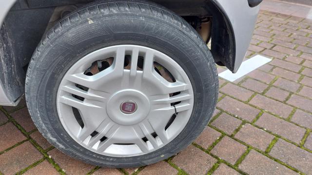 FIAT Panda 1.2 Dynamic Natural Power Ben Tenuta