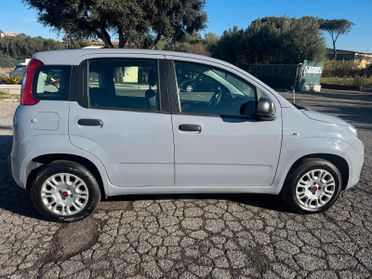Fiat Panda 1.2 Easy s&s 69cv my19 PREZZO REALE