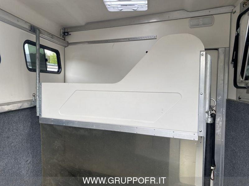 Trailer Steinsberger Steinsberger TRASPORTO CAVALLI