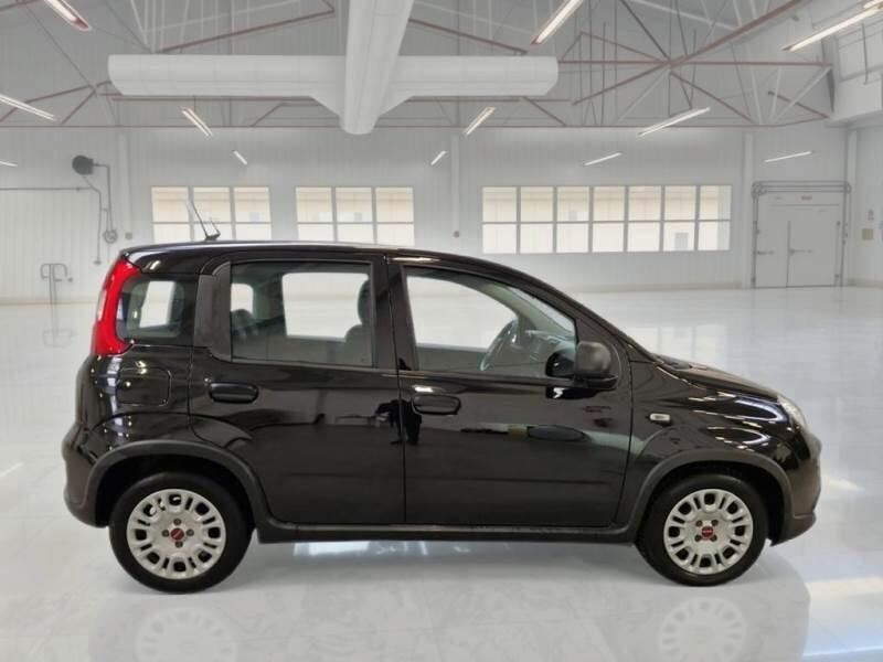 Fiat Panda 1.0 FireFly S&S Hybrid 5P PACK CITY PROMO