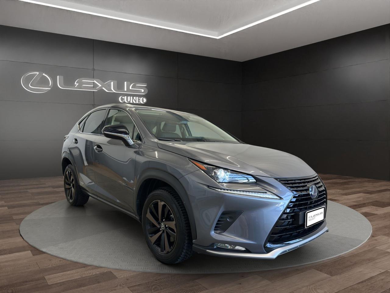 Lexus NX 300h 2.5 Premium 4wd cvt