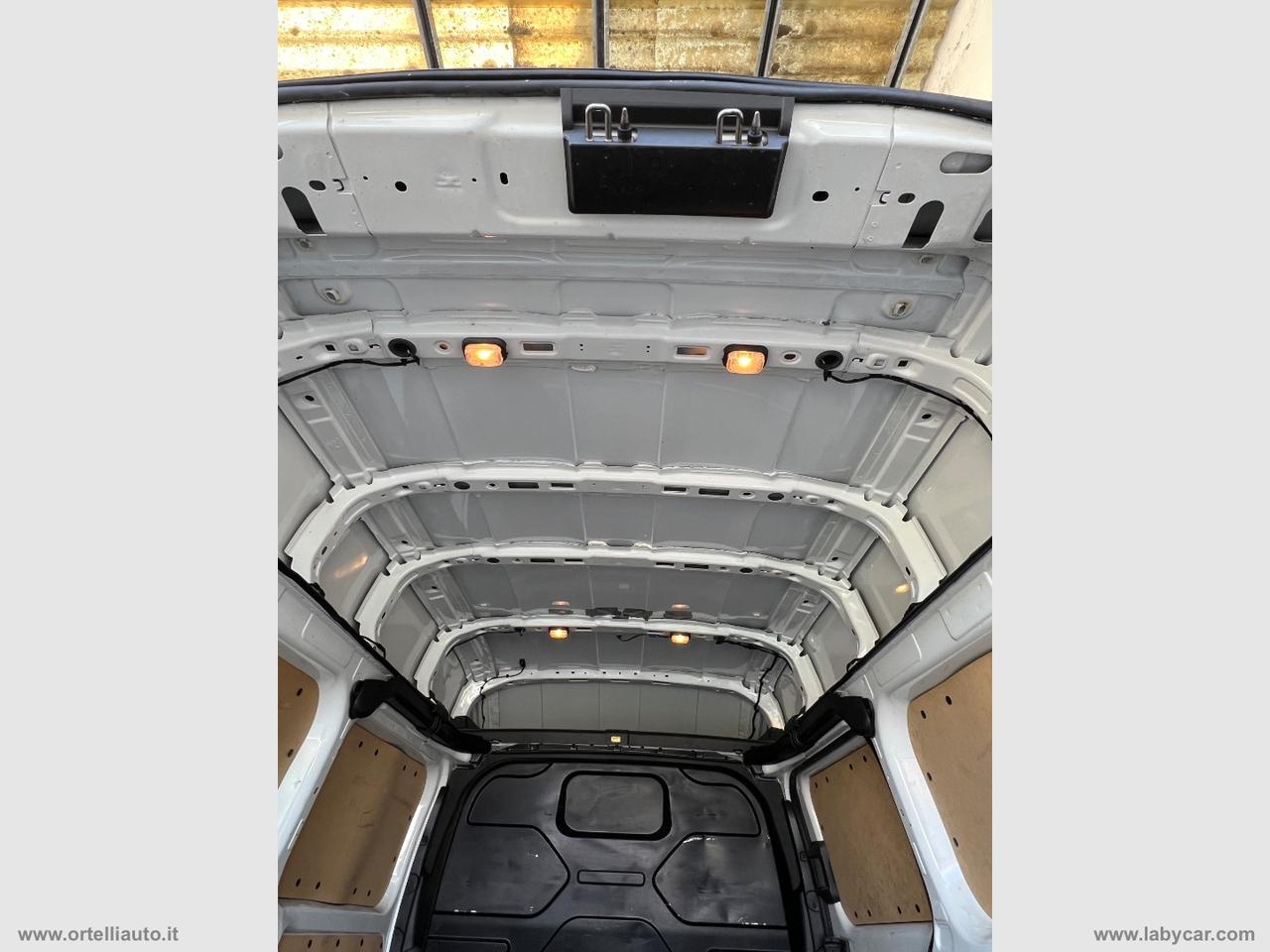 Tran.Cust.300 2.0EcoB.130 L2H2 F.Trend