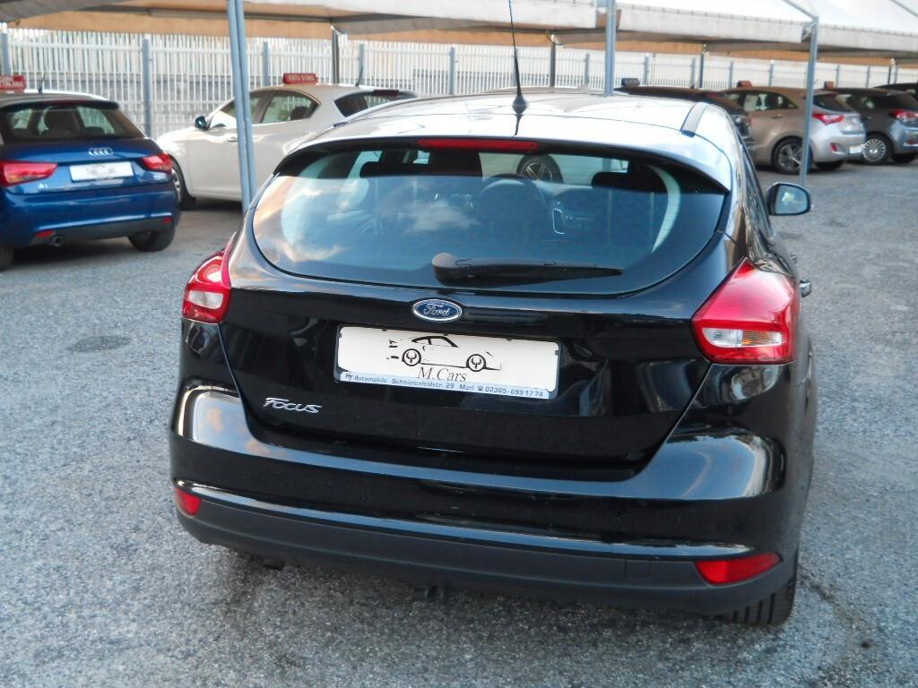 FORD FOCUS 1.6 TDI 115 CV FULL