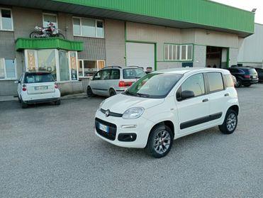 Fiat Panda 1.3 MJT 80CV 4x4 Van 2 posti