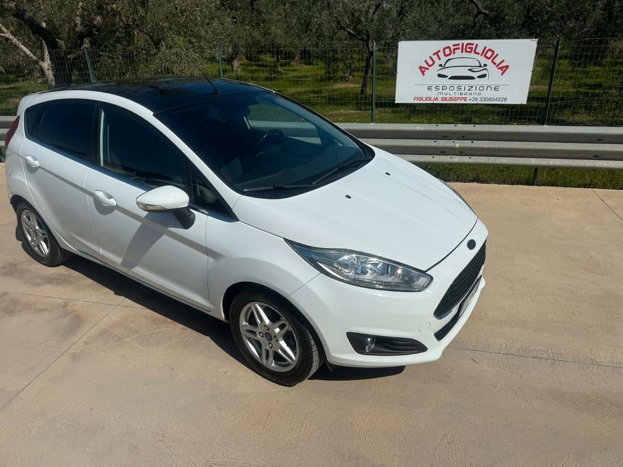 Ford Fiesta 1.5 TDCi 75CV 5 porte Titanium 2014