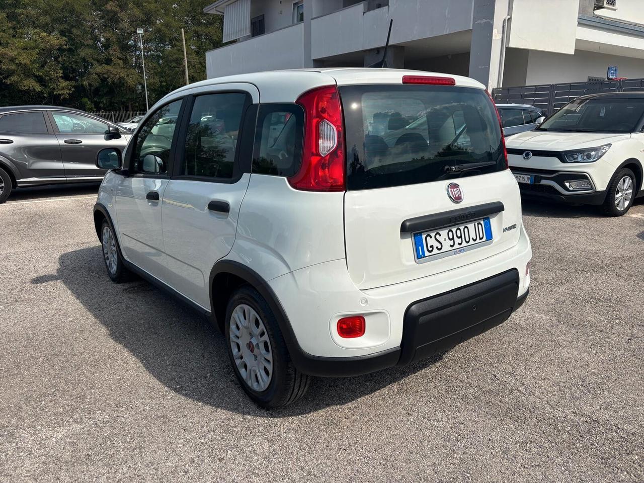 Fiat Panda 1.0 Hybrid 5 POSTI - 2023