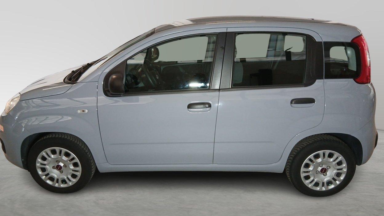 FIAT Panda 3ª serie - Panda 1.2 EasyPower Easy