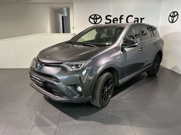 Toyota RAV4 2.5 Hybrid 2WD Dynamic+