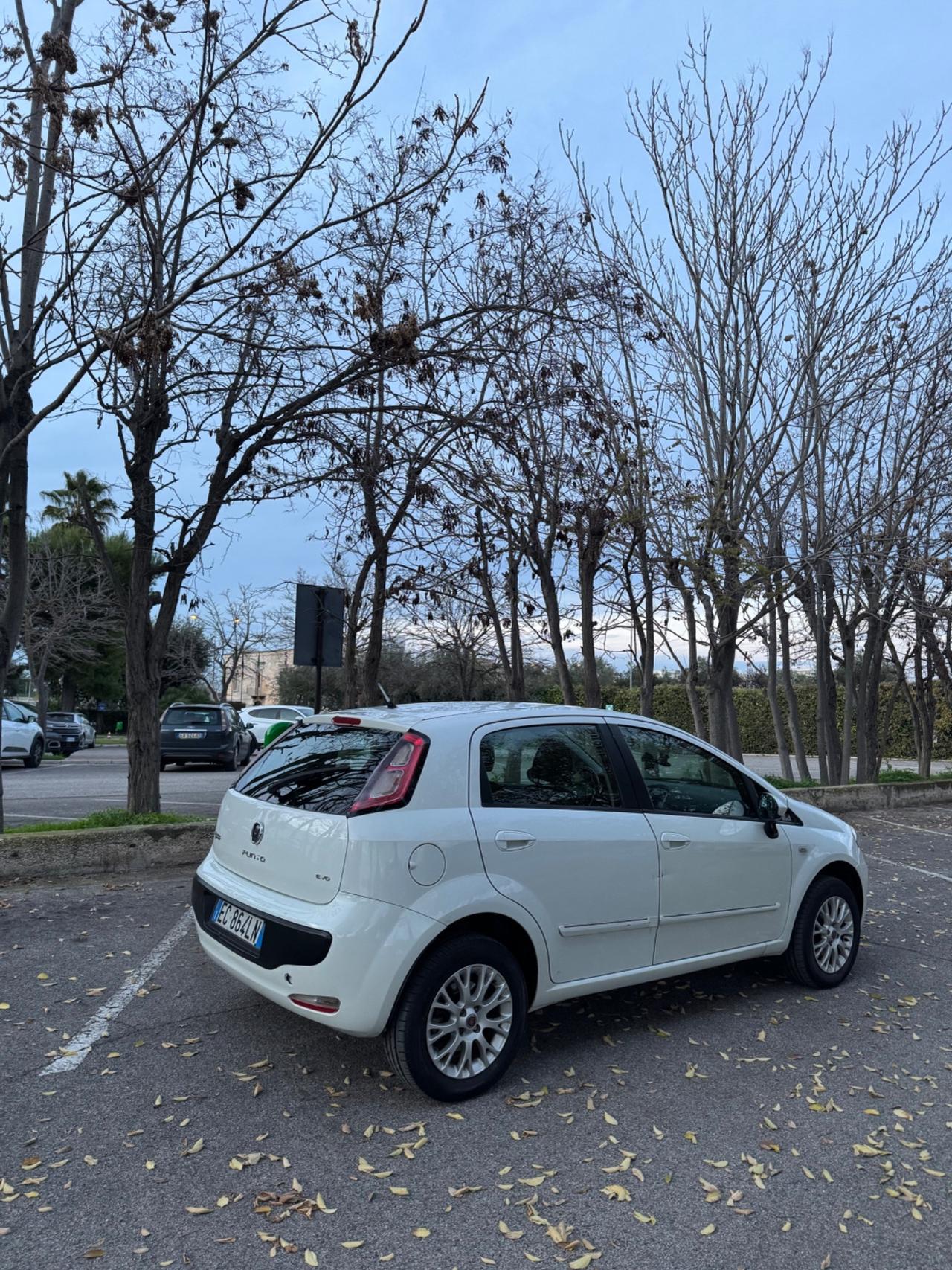 Fiat Punto Evo 1.4 5 porte Emotion Natural Power