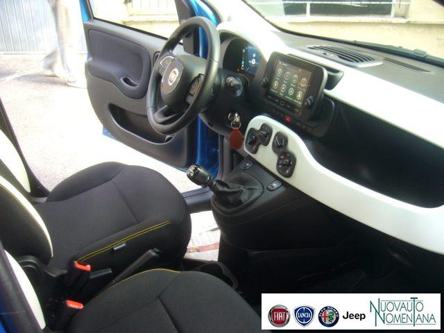 FIAT Pandina Cross Pandina 1.0 FireFly Hybrid 5°P Nuovo Modello