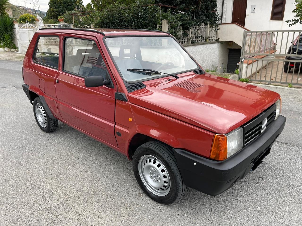 Fiat Panda 1100 i.e. cat Young