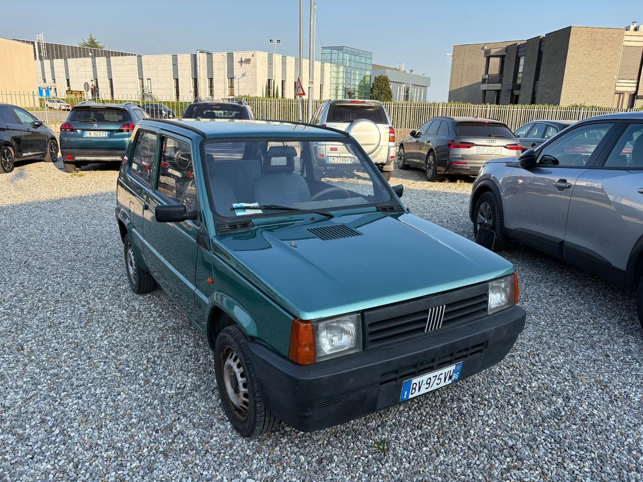 Fiat Panda 1100 i.e. cat Young