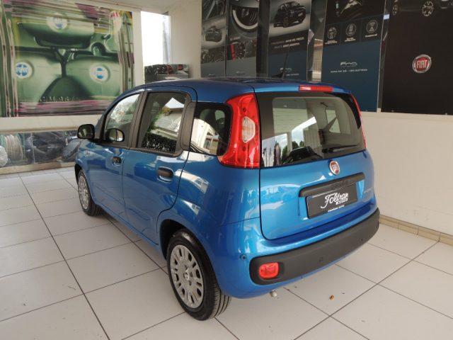 FIAT Panda 1.0 FireFly Hybrid Icon