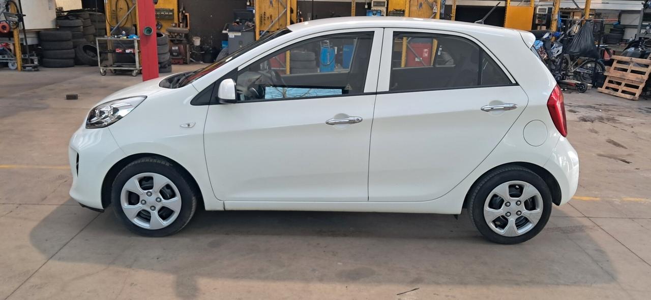 Kia Picanto 1.0 12V EcoGPL 5 porte Glam