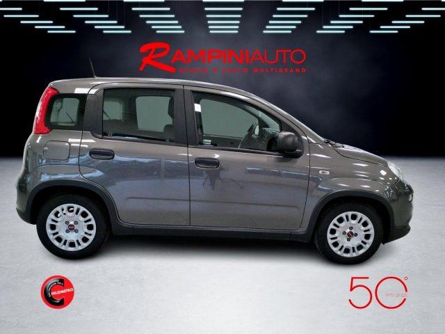 FIAT Panda 1.0 FireFly Hybrid Km 34.000 Pronta Consegna