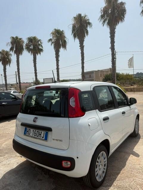 Fiat Panda Pandina 1.0 FireFly 65 CV Hybrid Icon