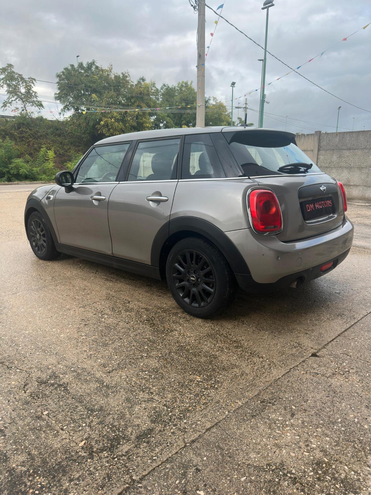 Mini 1.5 One D Hype