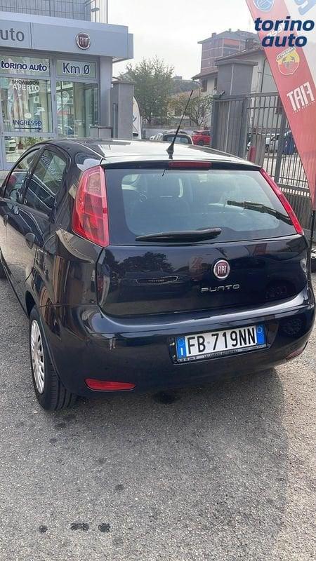 FIAT Punto Punto 1.2 8V 5 porte Street