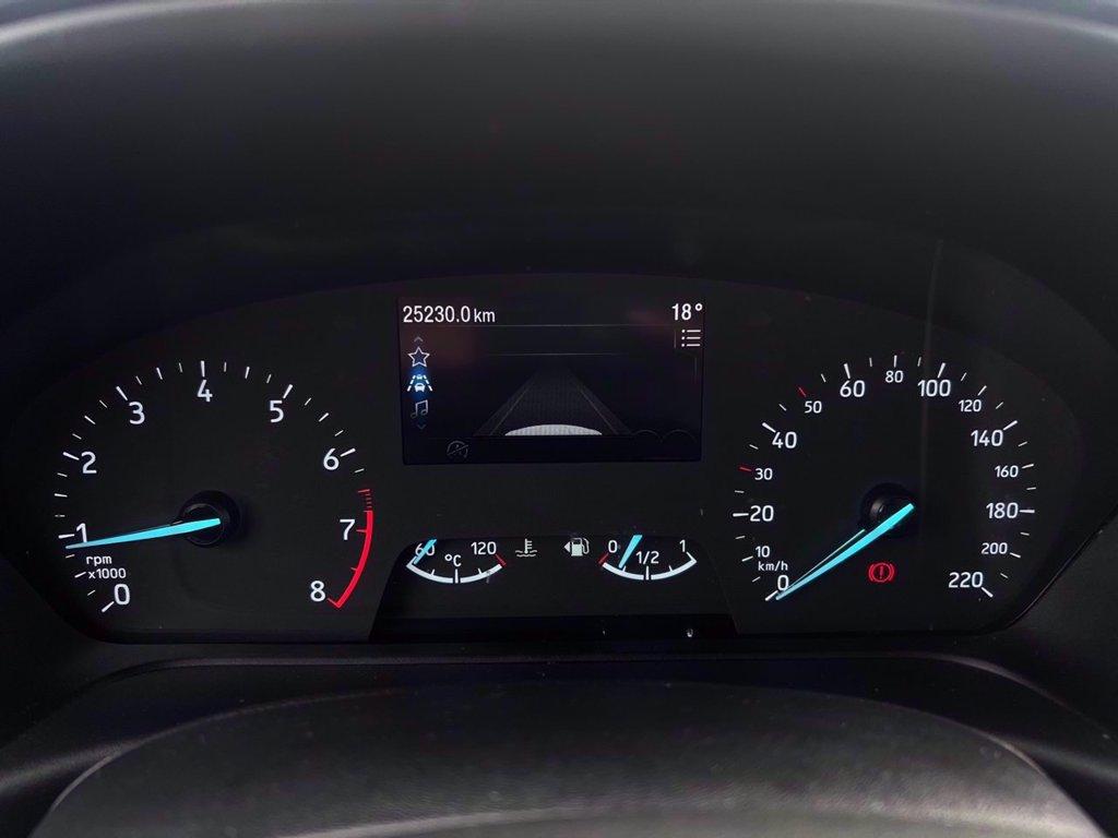 FORD Fiesta Active 1.0 ecoboost h 125cv del 2022