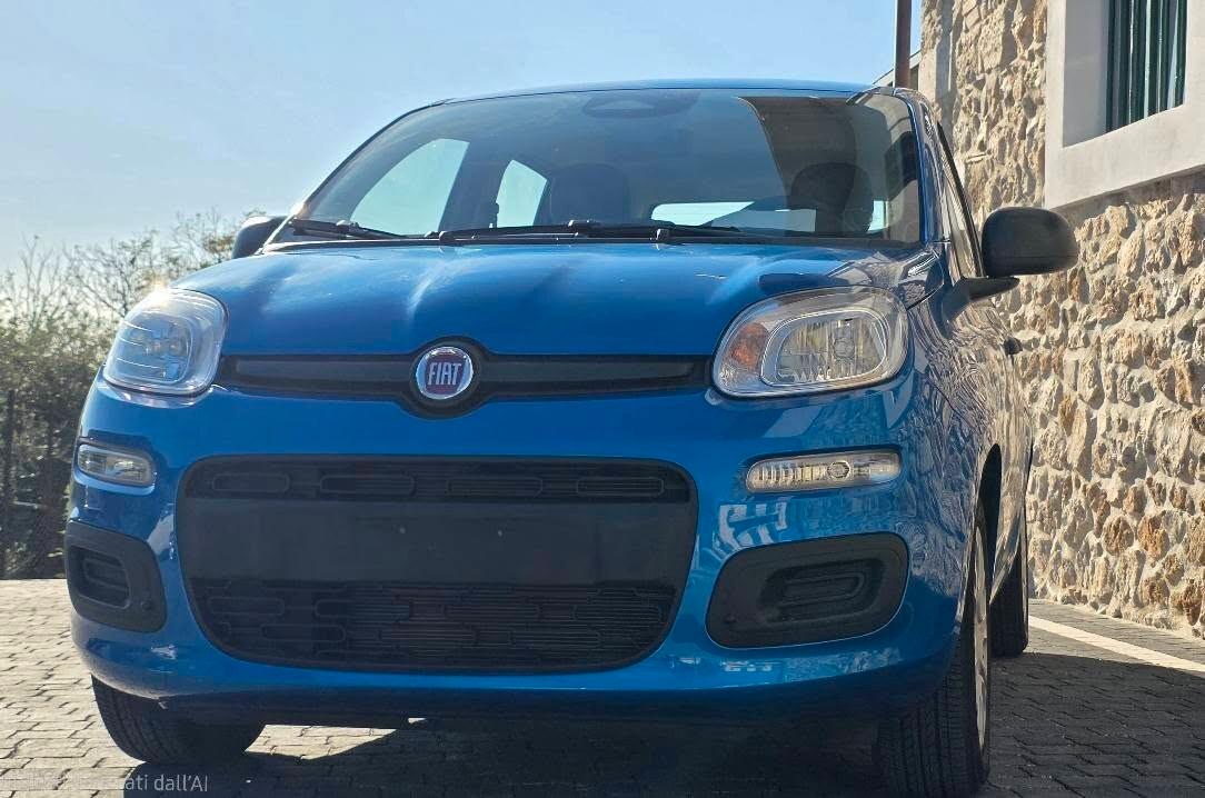 Fiat Panda 1.0 FireFly S&S Hybrid Pandina