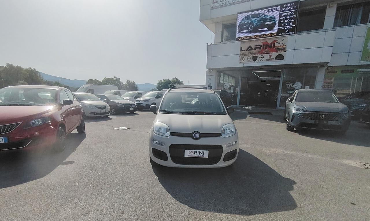 Fiat Panda 1.2 Pandazzurri - NEOPATENTATI