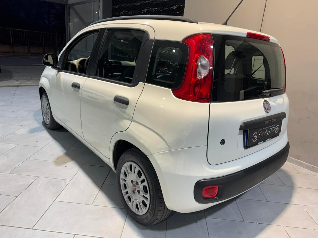 NEW Fiat Panda VARI MODELLI OCCASIONEE